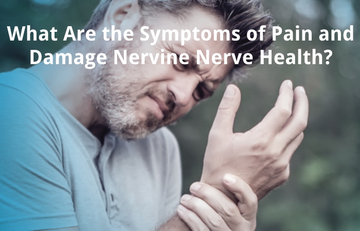 What Are the Symptoms of Pain and Damage Nervine Nerve Health?