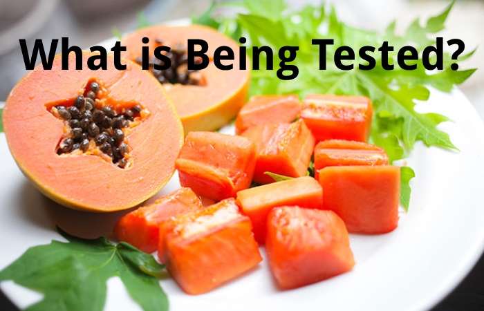 What is Being Tested?