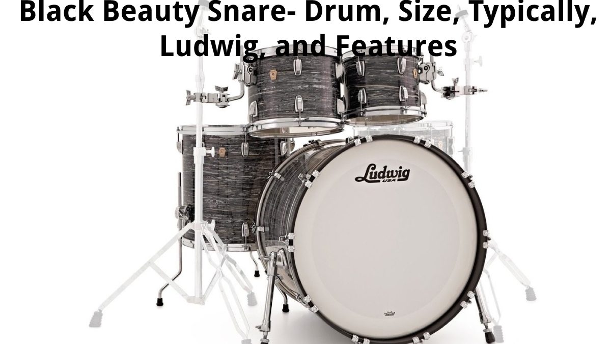 Black Beauty Snare – Drum, Size, Typically, Ludwig, and Features