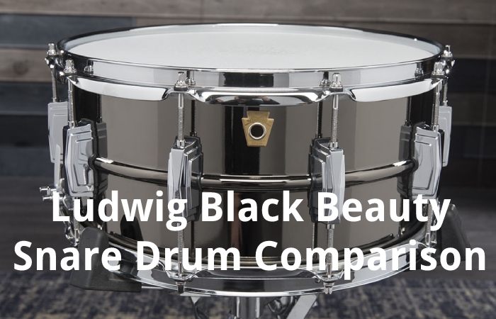 Ludwig Black Beauty Snare Drum Comparison