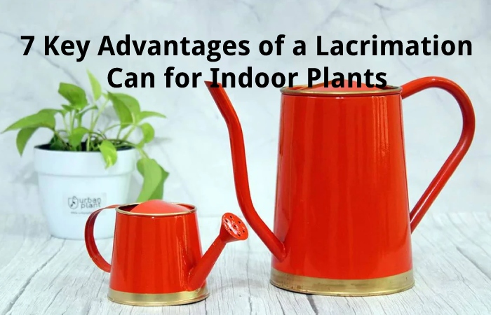 7 Key Advantages of a Lacrimation Can for Indoor Plants