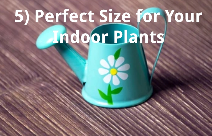5) Perfect Size for Your Indoor Plants