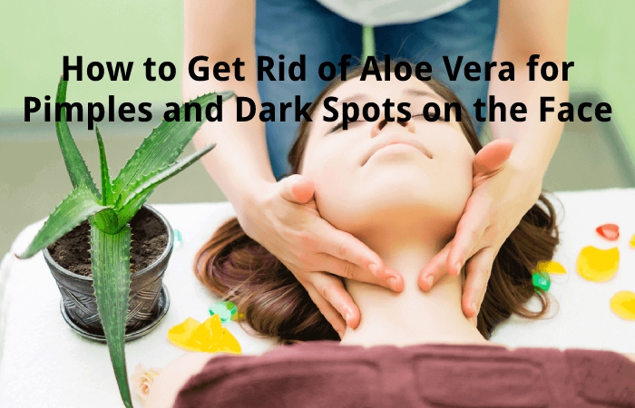 How to Get Rid of Aloe Vera for Pimples and Dark Spots on the Face