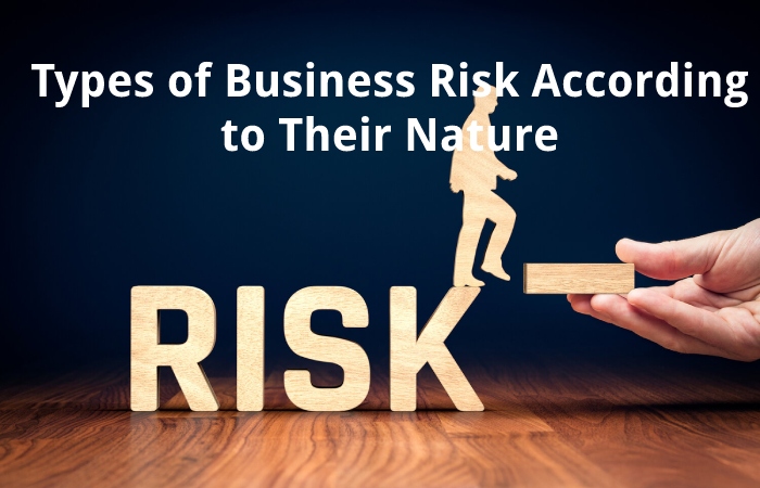 Types of Business Risk According to Their Nature