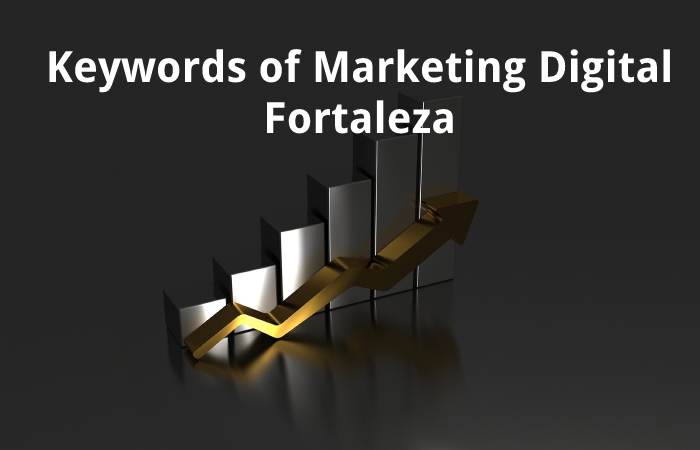 Keywords of Marketing Digital Fortaleza
