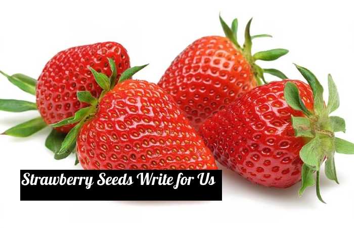 strawberry seeds write for us