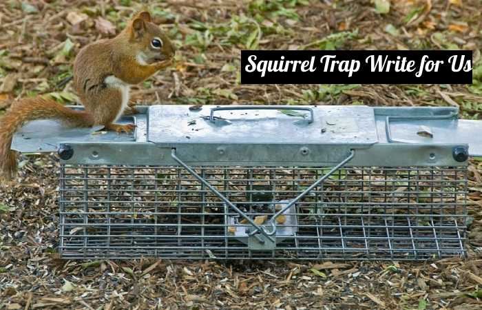 Squirrel Traps Write for Us