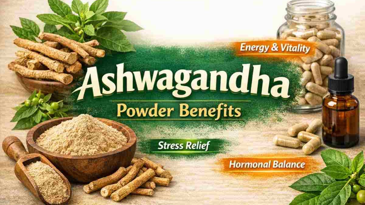 Ashwagandha Powder Benefits in Hindi – Pros and Cons